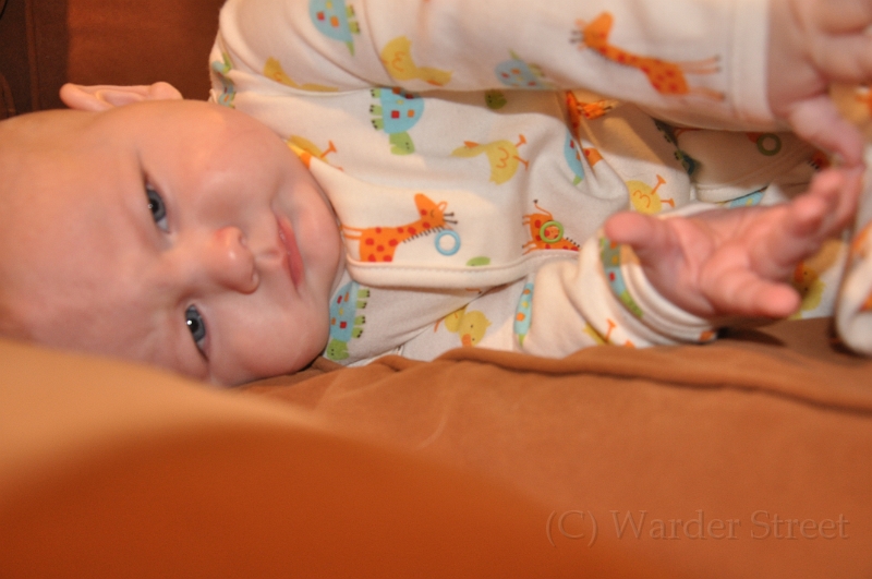 William's Twenty-Third Week 65.jpg